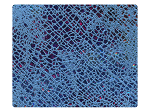 319 Navy Blue Illusion Velvet